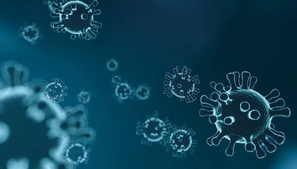 Häufig gestellte Fragen zum Corona Virus Häufig gestellte Fragen zum Corona Virus